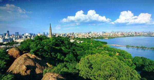 學習國外苗木行業(yè)經(jīng)驗，搶先了解國內(nèi)市場動態(tài)
